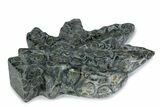 Kambaba Jasper “Maple Leaf” Sculpture or Soap Dish #378845-1